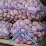 Картофель семенной и столовый. Качество отличное, сорта уточняйте.