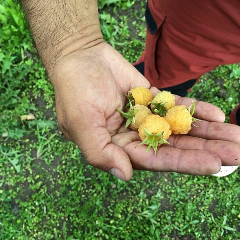 Использование арматуры в строительстве