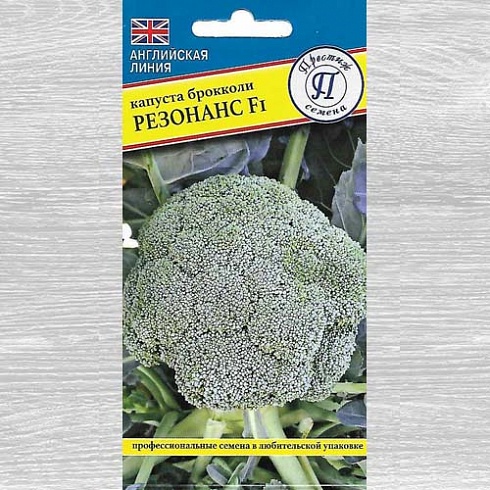Семена капусты брокколи