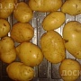 Продаю деревенский картофель выращенный в Гродненской области на своем приусадебном хозяйстве.