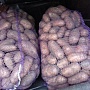 Излишки картофеля с личного хозяйства. Картофель очень вкусный, без химии, разваристый. Дос