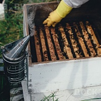 Продукция урожая 2021 года. Исключительно натуральный мёд с собственной пасеки, расположенной в