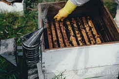 Продукция урожая 2021 года. Исключительно натуральный мёд с собственной пасеки, расположенной в