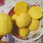 Картофель, лук, морковь, свекла с доставкой на дом