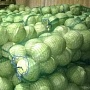 Деревенские овощи с бесплатной доставкой по Минску. Привезем и поднимем на Ваш этаж в любой