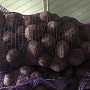 Излишки картофеля с личного хозяйства. Картофель очень вкусный, без химии, разваристый. Доставка