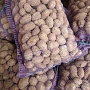 Картофель семенной и столовый. Качество отличное, сорта уточняйте.