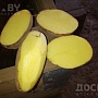 Продам излишки своего картофеля. сорт"Бриз" (очень вкусный) разваристый ярко желтый в разрезе