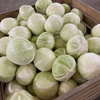 Капуста белокачанная свежая