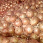 Продам домашний картофель, сорт Гала, с бесплатной доставкой по Минску, с подъёмом на этаж. Отли