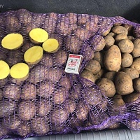 Продам излишки своего картофеля. сорт"Бриз" (очень вкусный) разваристый ярко желтый в разрезе.