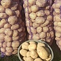 Продам домашний картофель отличного качества, экологически чистый, отобранный вручную, без болез