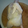 Продам мясо курицы домашней, выращена на собственном подворье. Выращивалась преимущественно на з