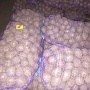 Картофель семенной и столовый. Качество отличное, сорта уточняйте.