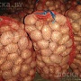Картофель выращен в Брестской области. Имеет потрясающие вкусовые качества. Отлично хранится