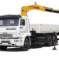 Манипулятор DONG YANG