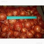 Деревенские овощи с бесплатной доставкой по Минску. Привезем и поднимем на Ваш этаж в любой