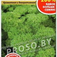 Петрушка листовая Кучерявец