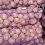 Продам домашний картофель, сорт Гала, с бесплатной доставкой по Минску, с подъёмом на этаж. Отли