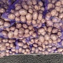 Оптовая продажа картофеля продовольственного сорт Гала калибр 5+, хорошего качества без поврежде