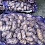 Картофель с доставкой Королева Анна ( желтый) продолговатый Отлично подходит для варки и жарки