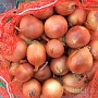 Продам излишки своего картофеля. Сорт "Бриз". Год был урожайным. Картошечка вышла очень хоро