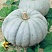 Тыква