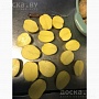 Продам излишки своего картофеля. Сорт "Гала". Год был урожайным. Картошечка вышла очень хоро