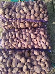Продам домашний картофель. Доставка Минск (все районы), Минский р-н( по договоренности. Звоните,