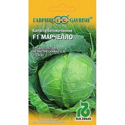 Семена капусты белокочанной