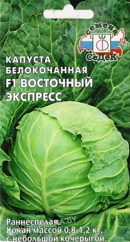 Семена белокочанной капусты