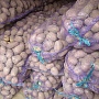 Картофель столовый. Гала, Волат, Манифест(калибр 5+) Без болезней, только опт до 10 тонн за отгр