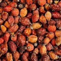 Плоды шиповника сушенные