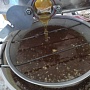Продам оптом разнотравный свежий мёд, откачка август 2022, расфасован в пластиковые 20литровые в