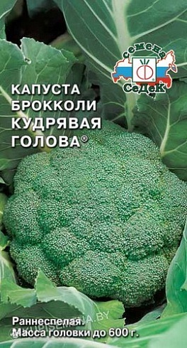 Семена капусты брокколи