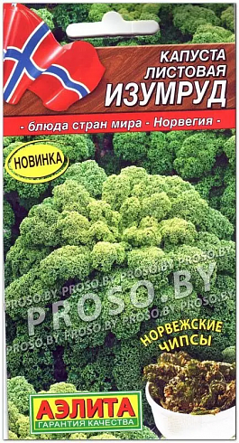 Семена листовой капусты