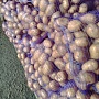 Оптовая продажа картофеля продовольственного сорт Гала калибр 5+, хорошего качества без поврежде