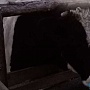 Бычок