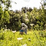 Продукция урожая 2021 года. Исключительно натуральный мёд с собственной пасеки, расположенной в
