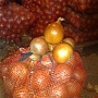 Продам излишки своего картофеля. сорт"Бриз" (очень вкусный) разваристый ярко желтый в разрезе