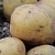Картофель