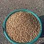 Овощи - картофель Алексей Мартинович 1/7 Продам домашний картофель. Доставка Минск (все рай