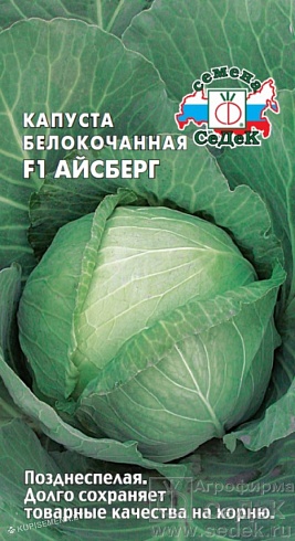 Семена белокочанной капусты