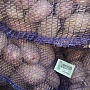 Продам домашний картофель. Сорта: Вектор( красная снаружи, жёлтая внутри. Сильно разваривается)