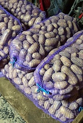 Продам домашний картофель отличного качества, экологически чистый, отобранный вручную, без болез