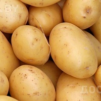 Домашний картофель 5+. Чистый, без парши и проволочника, сорта: Королева Анна, Бриз и Гала.