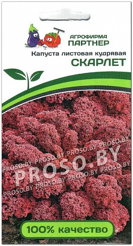 Семена листовой капусты