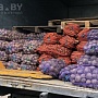 Картофель в сетке по 25 кг с достав. Королева Анна ( желтый) продолговатый Отлично подходит для