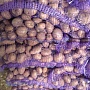 Картофель Бесплатная Доставка Подъем до вашей двери бесплатно Вкусная, жёлтая не первый год ра