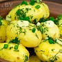 Продам вкусный домашний картофель. По качеству и вкусу останетесь очень довольны. Доставлю по Ми